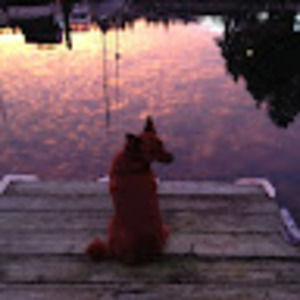 Meet your Posher, Sky